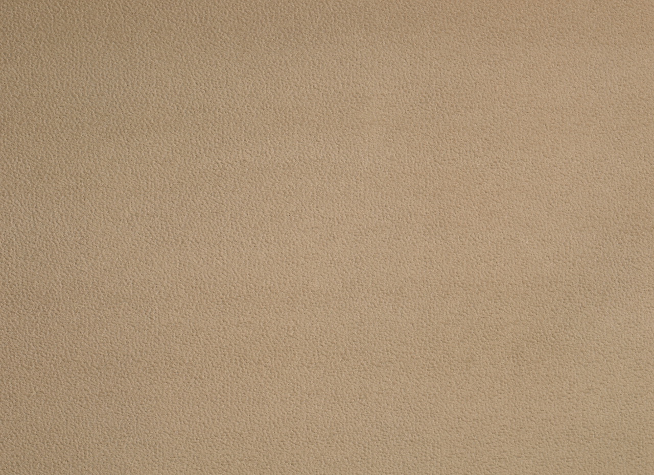 MODERN CREAM
