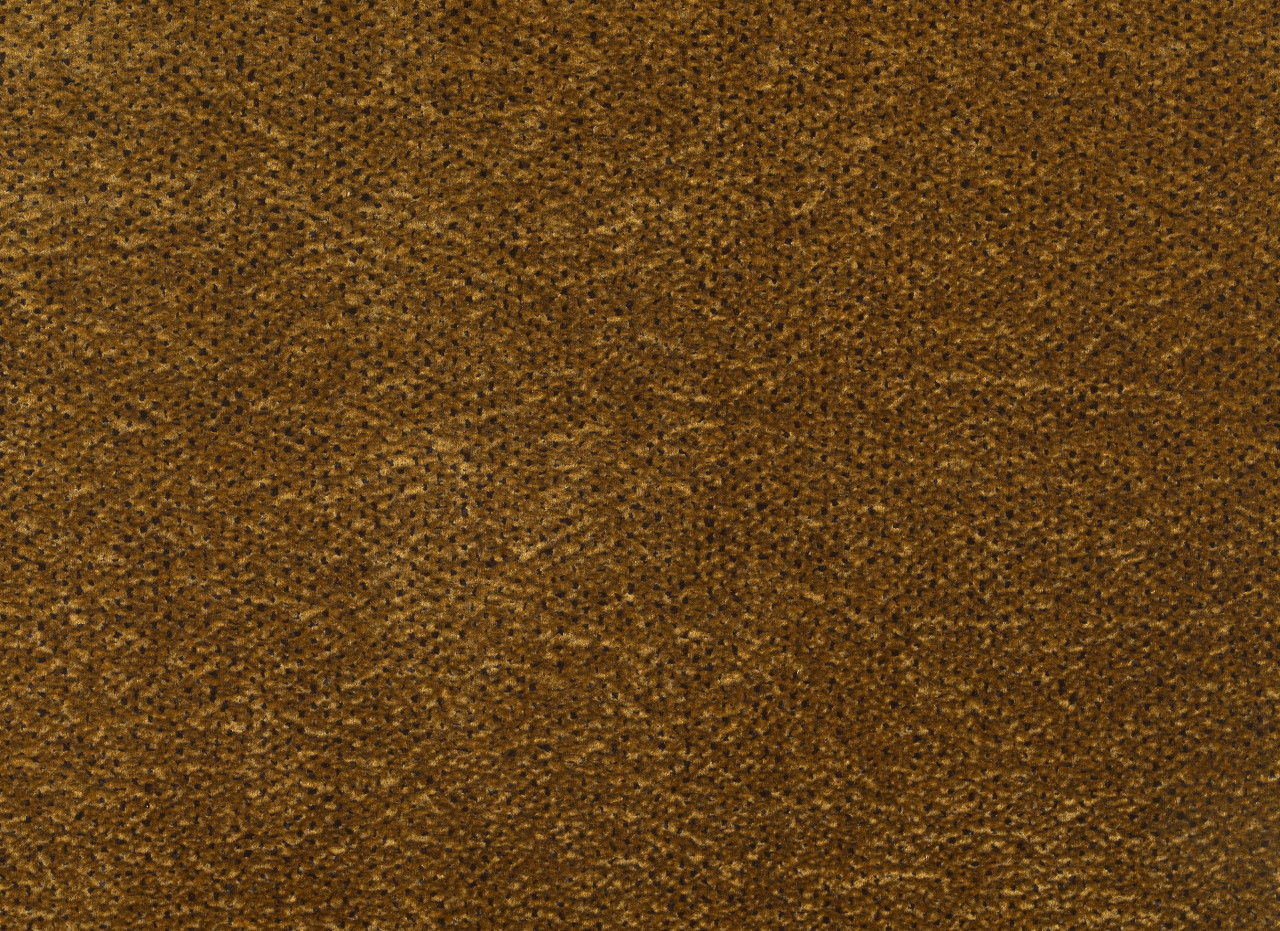 SHIMMER BROWN