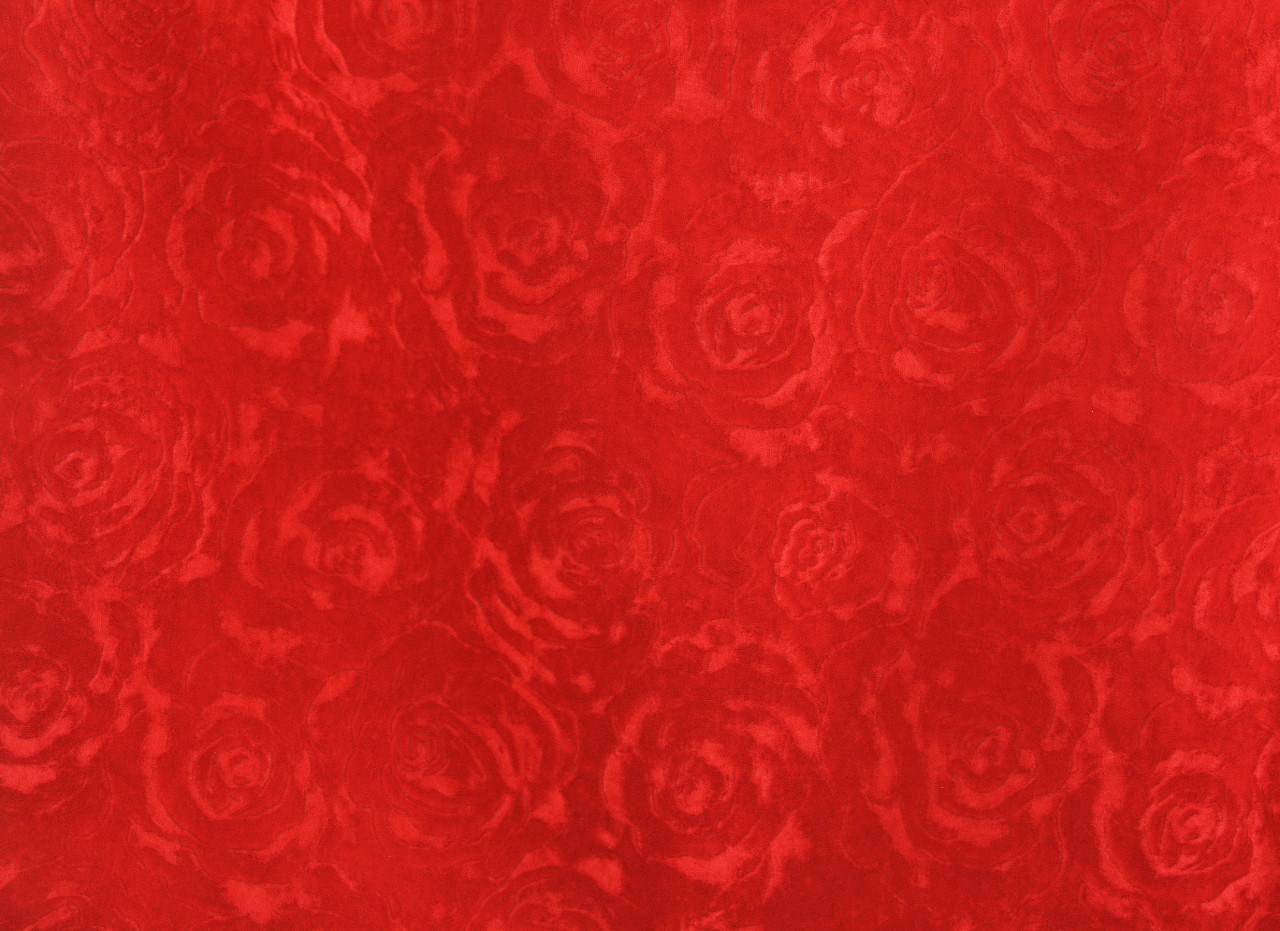 ARBOR ROSE SCARLET