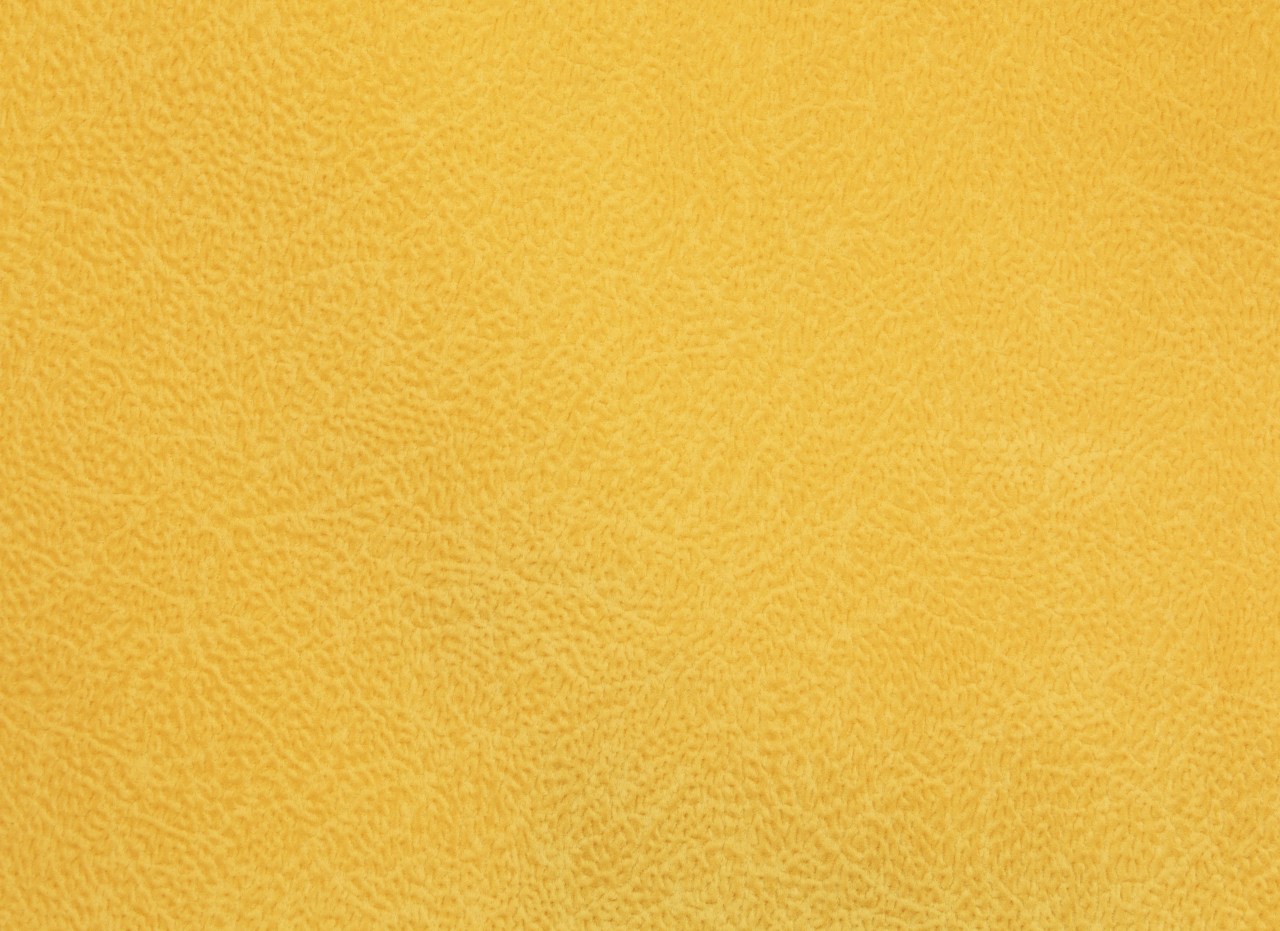L HAZE MUSTARD