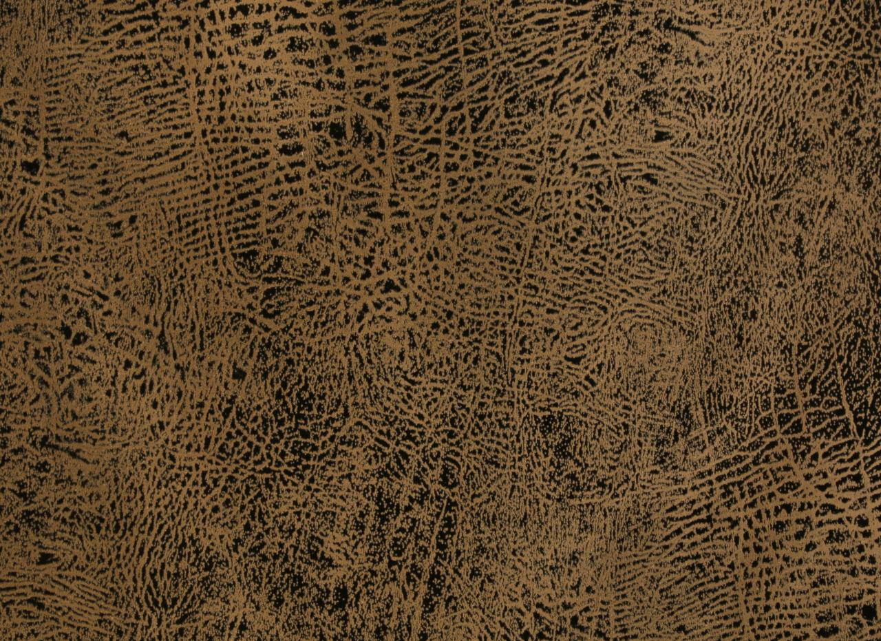 PHOENIX EBONY